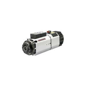 Motor H6161H0824 HSD Việt Nam